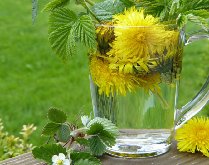 gruenes Detox mit Kräuter