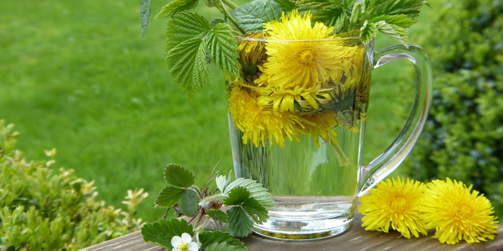 gruenes Detox mit Kräuter